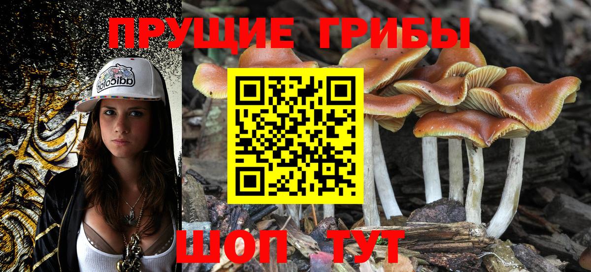 Псилоцибиновые грибы ЛСД Советск